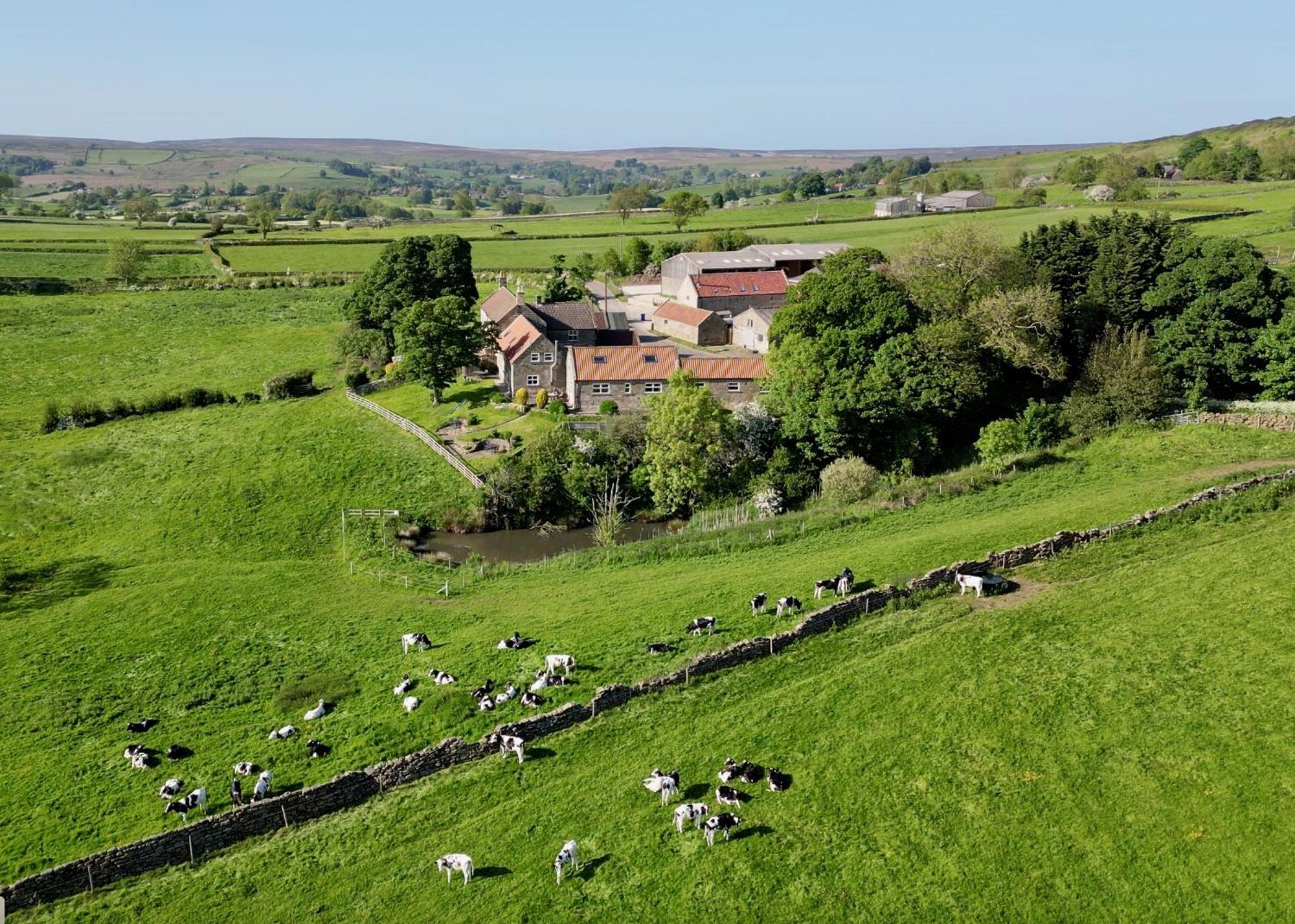 Church House Farm Danby Zewnętrze zdjęcie